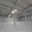 Pronájem skladu 36 000 m² Ostrava, Bohumínská