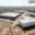 Pronájem výrobního objektu 1 500 m² Ostrava Vítkovice, Halasova