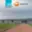 Pronájem skladu 10 000 m² Velemyšleves Čepirohy, Průmyslová zóna Triangle