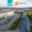 Pronájem skladu 3 000 m² Brno, Evropská