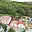 Prodej stavební parcely 568 m² Praha Krč, Dolnokrčská