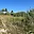 Prodej stavební parcely 1 000 m² Nýrsko, Boženy Němcové
