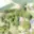 Prodej rodinného domu 250 m² Libice nad Doubravou Kladruby