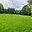 Prodej stavební parcely 1 913 m² Borotín Libenice