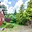 Prodej zahrady 522 m² Lom