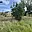 Prodej stavební parcely 445 m² Lodhéřov Studnice