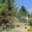 Prodej chaty 16 m² Citonice