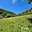 Prodej stavební parcely 6 703 m² Desná, Výletní