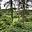Prodej chaty 75 m² Doudleby