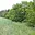 Prodej stavební parcely 1 135 m² Pohledy Horní Hynčina