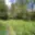 Prodej stavební parcely 2 584 m² Slavonice Stálkov