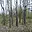 Prodej stavební parcely 2 391 m² Rozvadov