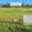 Prodej stavební parcely 950 m² Líšťany