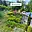 Prodej stavební parcely 1 087 m² Brno Jundrov, Muškátová