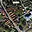 Prodej stavební parcely 1 000 m² Mnichovice