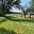 Prodej stavební parcely 3 359 m² Petrovice