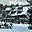 Prodej bytu 3+kk 80 m² Harrachov