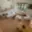 Prodej bytu 3+1 80 m² Frýdek-Místek Frýdek, Nad Lipinou