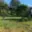 Prodej stavební parcely 1 140 m² Čelákovice Sedlčánky, Ferlesova
