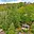 Prodej chalupy 372 m² Řehenice Babice