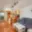 Prodej bytu 2+kk 45 m² Hostivice, Unhošťská