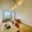 Pronájem bytu 2+kk 44 m² Praha Kobylisy, Bojasova