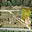 Prodej stavební parcely 1 387 m² Borušov