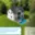 Prodej stavební parcely 2 391 m² Libina