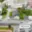 Prodej rodinného domu 302 m² Olomouc Nové Sady, Rooseveltova