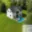 Prodej stavební parcely 2 391 m² Libina
