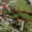 Prodej zemědělské usedlosti 186 m² Uničov Renoty