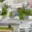 Prodej hotelu a penzionu 1 117 m² Olomouc Nové Sady, Rooseveltova