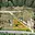 Prodej stavební parcely 805 m² Borušov