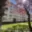 Prodej bytu 2+1 49 m² Horní Slavkov, Dlouhá