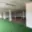 Pronájem obchodu 1 200 m² Polepy