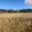 Prodej louky 9 804 m² Černá v Pošumaví, Černá v Pošumaví