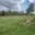 Prodej stavební parcely 3 286 m² Nová Pec, Nová Pec