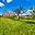 Prodej stavební parcely 1 175 m² Hodonín