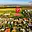 Prodej stavební parcely 2 134 m² Prostějov Čechovice
