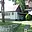 Prodej chaty 48 m² Postoloprty