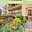 Prodej rodinného domu 223 m² Neratovice, Sv. Čecha