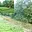 Prodej zahrady 876 m² Vejprty, Ovocná