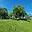 Prodej stavební parcely 773 m² Loučky