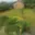 Prodej zahrady 296 m² Pacov