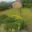 Prodej zahrady 296 m² Pacov