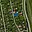 Prodej zahrady 458 m² Pelhřimov
