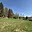 Prodej chaty 2 353 m² Boršov nad Vltavou Jamné