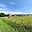 Prodej stavební parcely 4 932 m² Spálené Poříčí, Štítovská