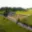 Prodej stavební parcely 1 477 m² Pyšely Zaječice