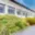 Prodej výrobního objektu 1 700 m² Luby